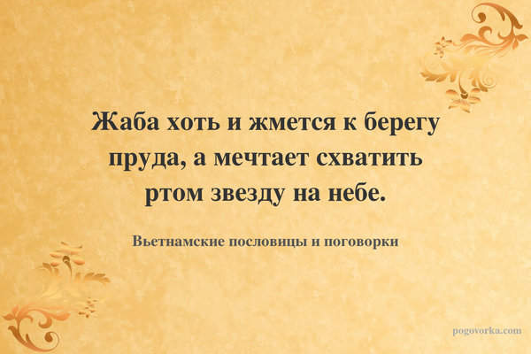 Жаба хоть и жмется к берегу пруда, а мечтает схватить ртом звезду на небе.