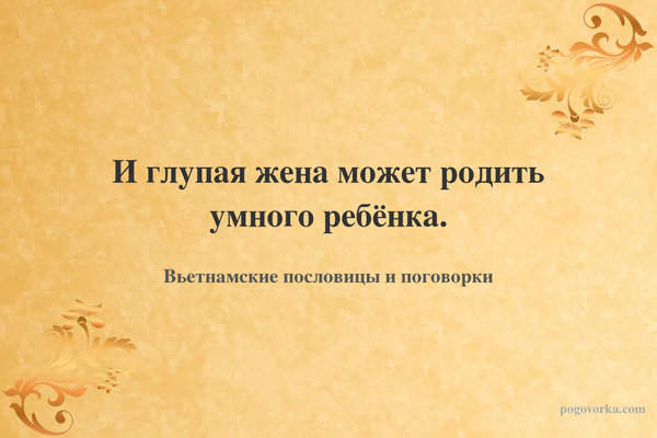 И глупая жена может родить умного ребёнка.