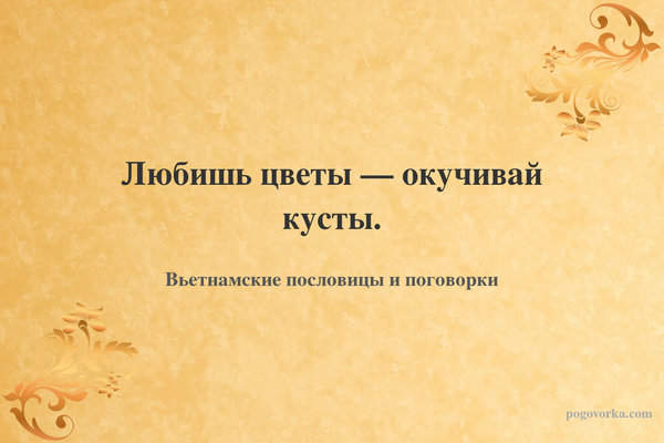 Любишь цветы — окучивай кусты.