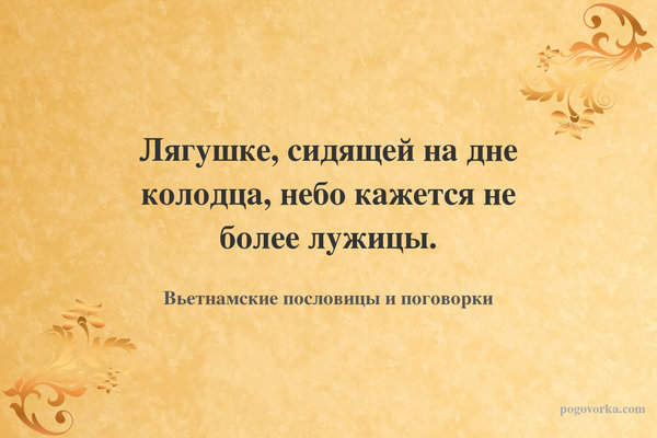 Лягушке, сидящей на дне колодца, небо кажется не более лужицы.