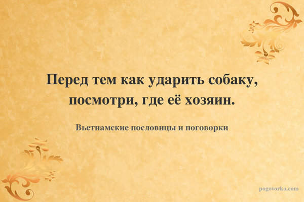 Перед тем как ударить собаку, посмотри, где её хозяин.