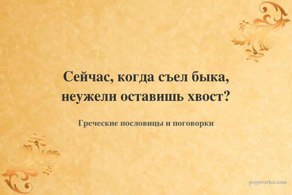 Сейчас, когда съел быка, неужели оставишь хвост?