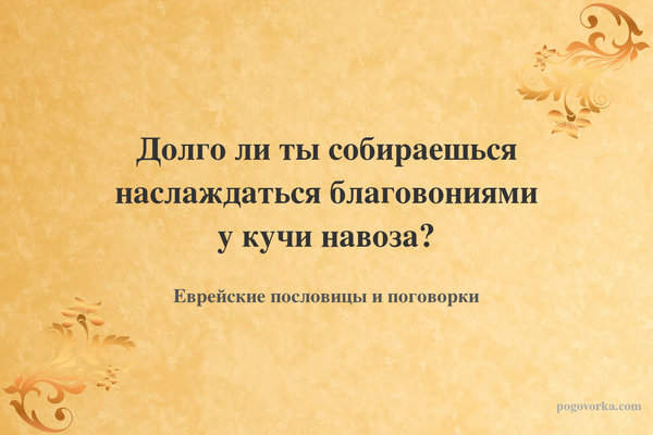 Долго ли ты собираешься наслаждаться благовониями у кучи навоза?