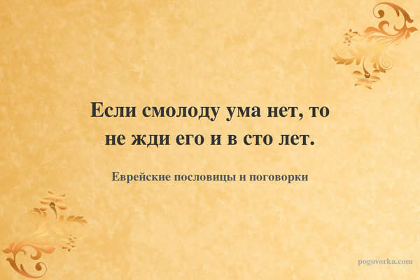 Если смолоду ума нет, то не жди его и в сто лет.