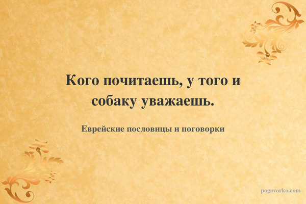 Кого почитаешь, у того и собаку уважаешь.
