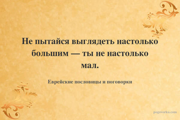Не пытайся выглядеть настолько большим — ты не настолько мал.