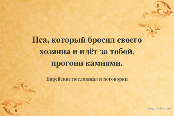 Пса, который бросил своего хозяина и идёт за тобой, прогони камнями.