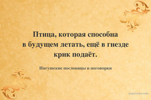 Птица, которая способна в будущем летать, ещё в гнезде крик подаёт.
