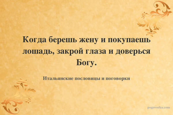 Когда берешь жену и покупаешь лошадь, закрой глаза и доверься Богу.