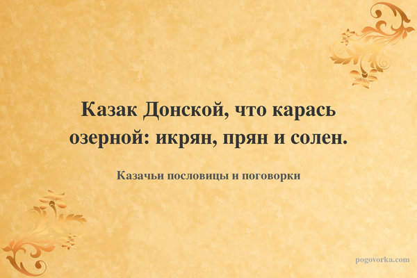 Казак Донской, что карась озерной: икрян, прян и солен.