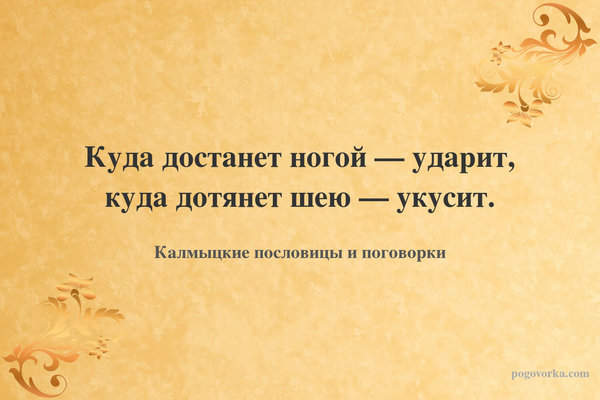 Куда достанет ногой — ударит, куда дотянет шею — укусит.