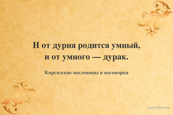 И от дурня родится умный, и от умного — дурак.