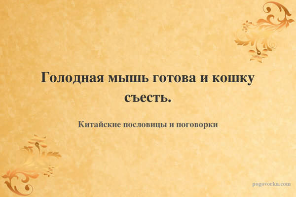 Голодная мышь готова и кошку съесть.