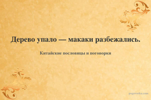 Дерево упало — макаки разбежались.