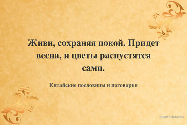 Живи, сохраняя покой. Придет весна, и цветы распустятся сами.