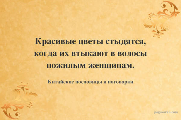 Красивые цветы стыдятся, когда их втыкают в волосы пожилым женщинам.