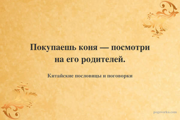Покупаешь коня — посмотри на его родителей.