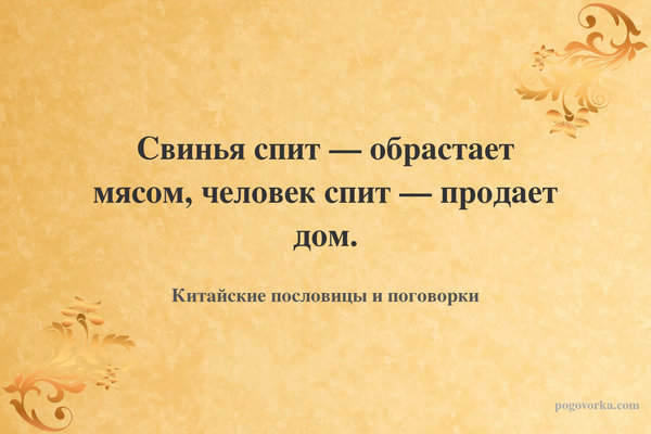 Свинья спит — обрастает мясом, человек спит — продает дом.