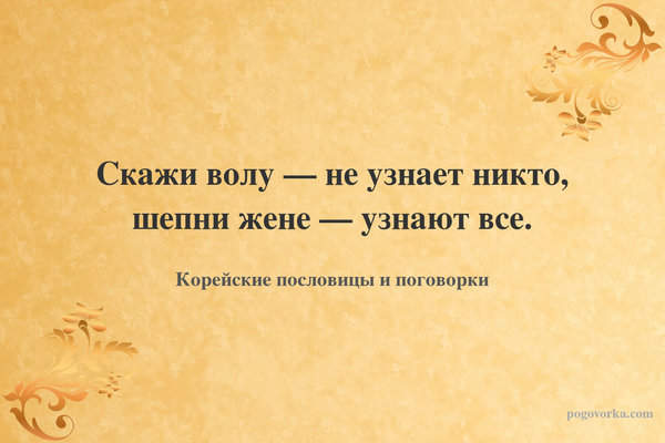Скажи волу — не узнает никто, шепни жене — узнают все.