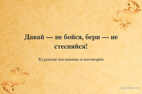 Давай — не бойся, бери — не стесняйся!