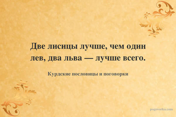 Две лисицы лучше, чем один лев, два льва — лучше всего.