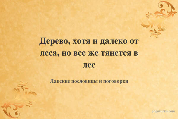 Дерево, хотя и далеко от леса, но все же тянется в лес