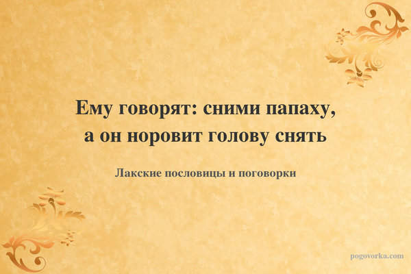 Ему говорят: сними папаху, а он норовит голову снять