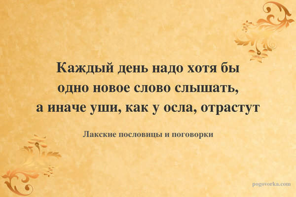 Каждый день надо хотя бы одно новое слово слышать, а иначе уши, как у осла, отрастут