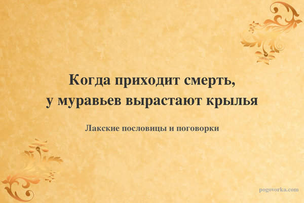 Когда приходит смерть, у муравьев вырастают крылья