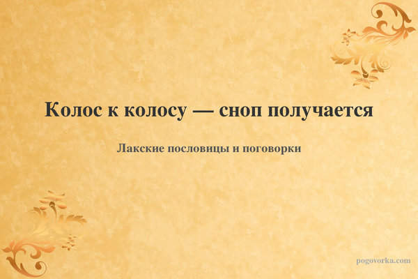 Колос к колосу — сноп получается