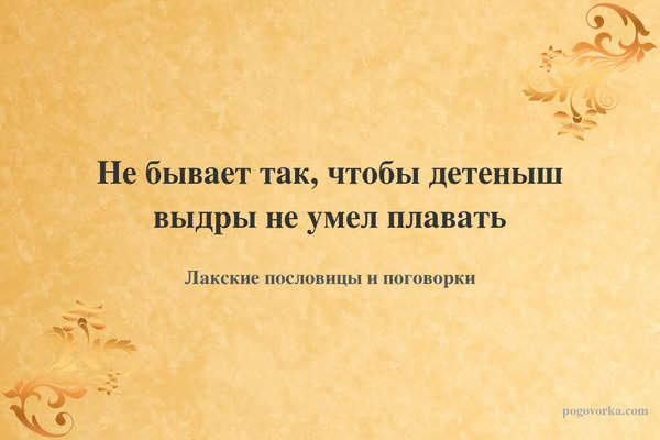 Не бывает так, чтобы детеныш выдры не умел плавать