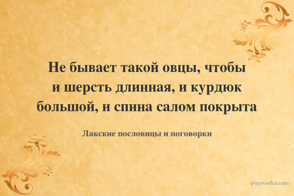 Не бывает такой овцы, чтобы и шерсть длинная, и курдюк большой, и спина салом покрыта