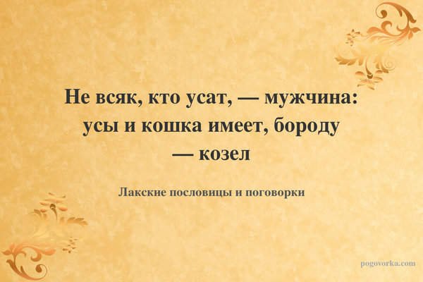 Не всяк, кто усат, — мужчина: усы и кошка имеет, бороду — козел