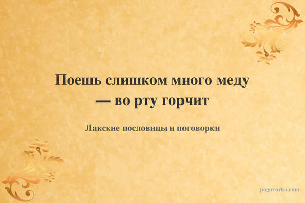Поешь слишком много меду — во рту горчит