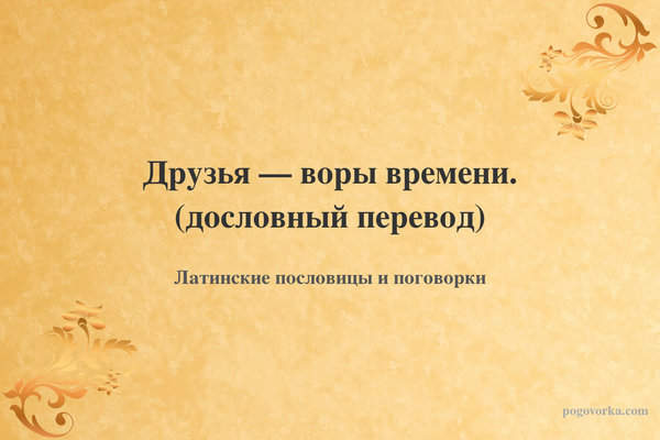 Друзья — воры времени. (дословный перевод)