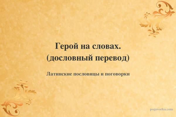 Герой на словах. (дословный перевод)