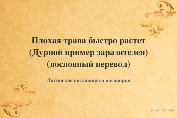 Плохая трава быстро растет (Дурной пример заразителен) (дословный перевод)