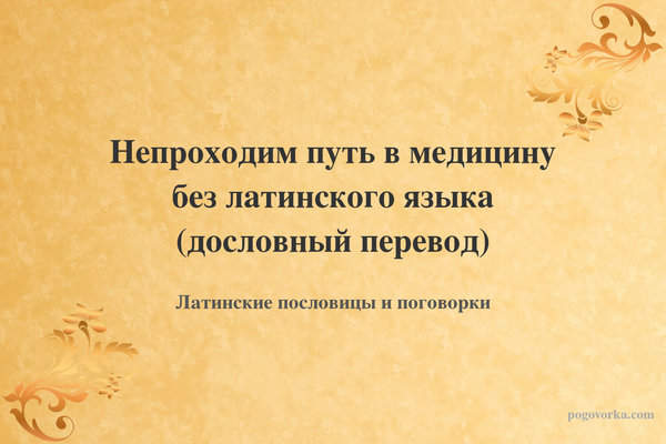 Непроходим путь в медицину без латинского языка (дословный перевод)
