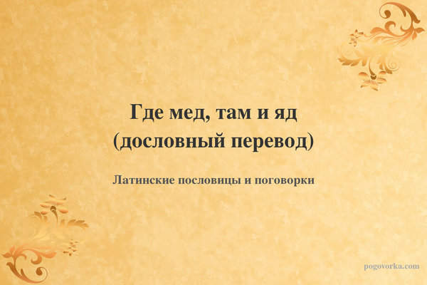 Где мед, там и яд (дословный перевод)