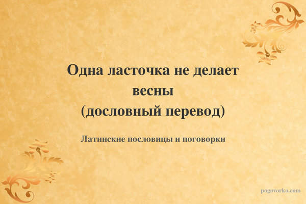 Одна ласточка не делает весны (дословный перевод)