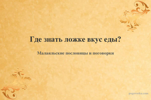 Где знать ложке вкус еды?