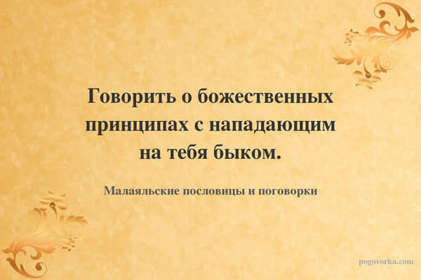 Говорить о божественных принципах с нападающим на тебя быком.