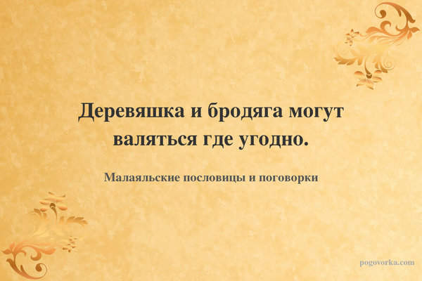 Деревяшка и бродяга могут валяться где угодно.