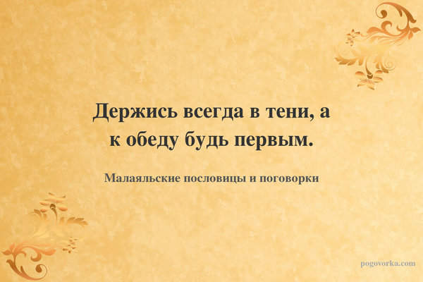 Держись всегда в тени, а к обеду будь первым.