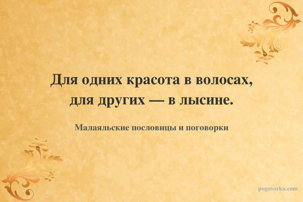 Для одних красота в волосах, для других — в лысине.