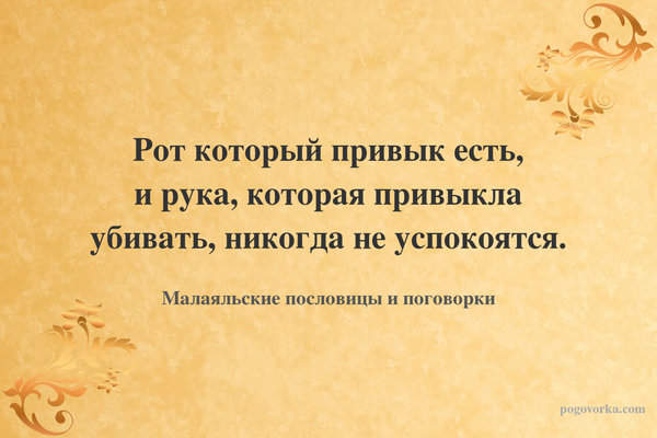 Рот который привык есть, и рука, которая привыкла убивать, никогда не успокоятся.