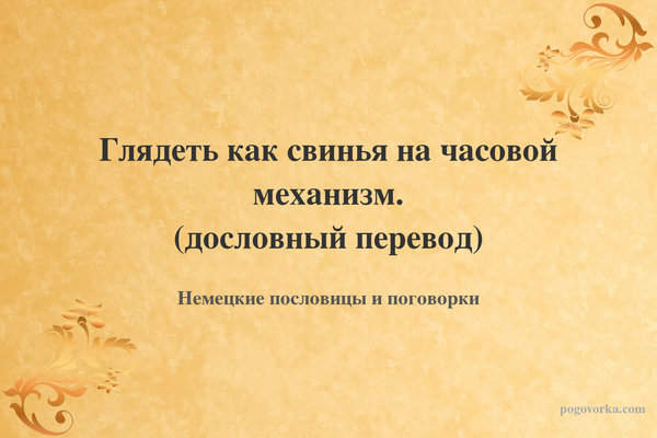 Глядеть как свинья на часовой механизм. (дословный перевод)