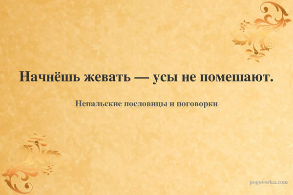 Начнёшь жевать — усы не помешают.