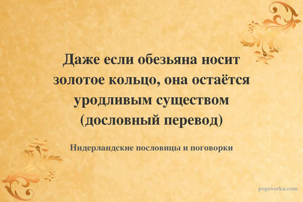 Даже если обезьяна носит золотое кольцо, она остаётся уродливым существом (дословный перевод)