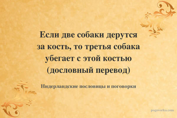 Если две собаки дерутся за кость, то третья собака убегает с этой костью (дословный перевод)